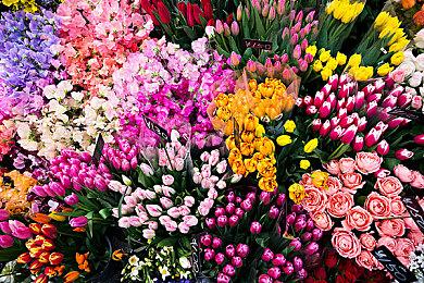 《铁拳8》公布中国功夫八卦掌少女凌晓雨预告