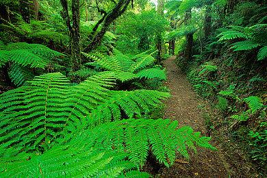 FF系列编剧打造《星位继承者》公布最新预告片